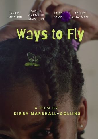 Poster of Ways to Fly