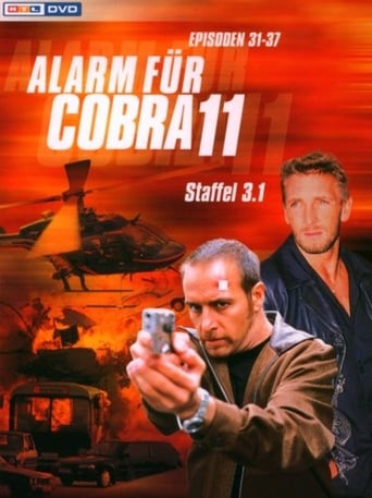 Portrait for Alarm for Cobra 11: The Motorway Police - Season 5