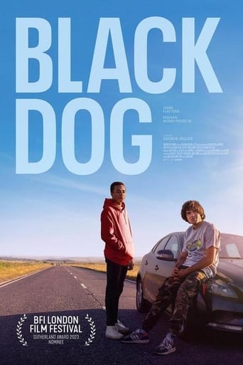 Poster of Black Dog