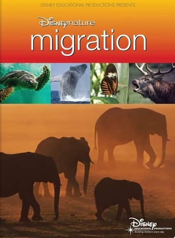 Poster of Disneynature: Migration