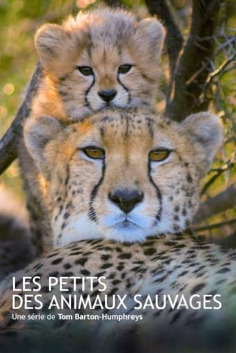 Poster of Les animaux sauvages et leurs petits