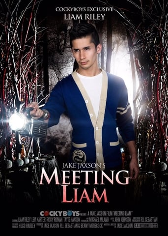 Poster of Meeting Liam