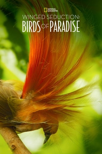 Poster of Winged Seduction: Birds of Paradise