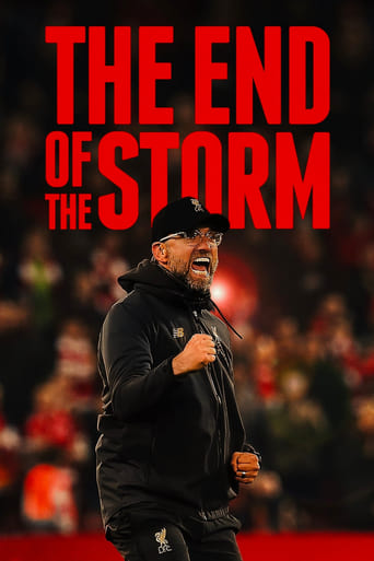 Poster of The End of the Storm