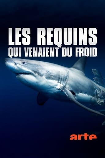 Poster of Les requins qui venaient du froid