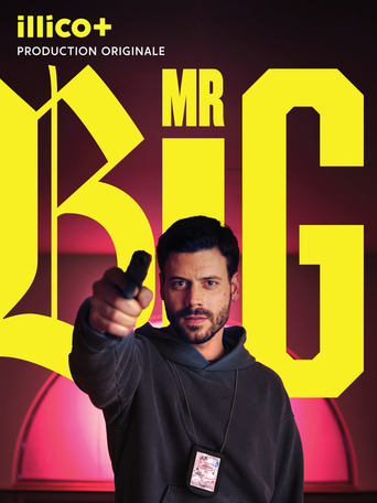 Poster of MR BIG