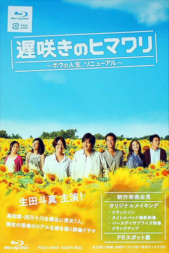 Poster of Late Blooming Sunflower My Life Renewed