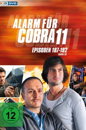 Portrait for Alarm for Cobra 11: The Motorway Police - Season 25