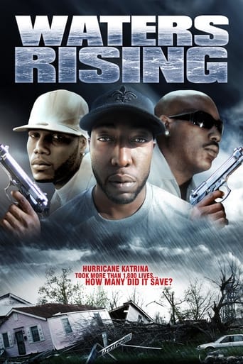 Poster of Waters Rising