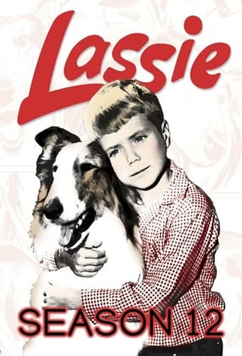 Portrait for Lassie - Season 12