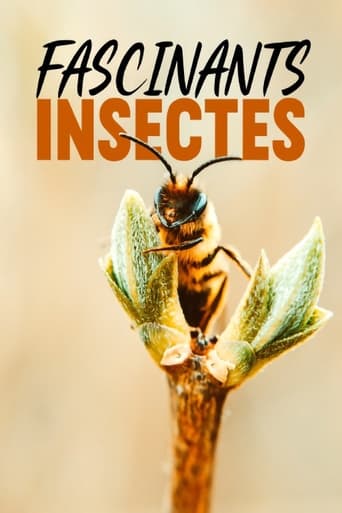 Portrait for Fascinants insectes - Season 1