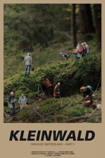 Poster of Small Forest