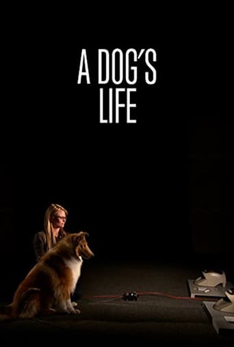 Poster of A Dog's Life