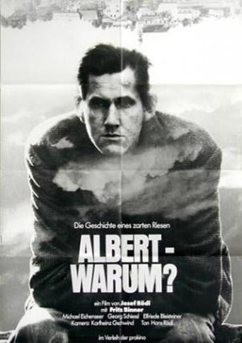 Poster of Albert - warum?