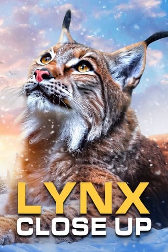 Poster of Lynx - Close Up