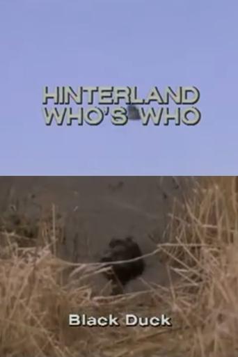 Poster of Hinterland Who's Who: Black Duck