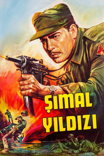 Poster of Şimal Yıldızı