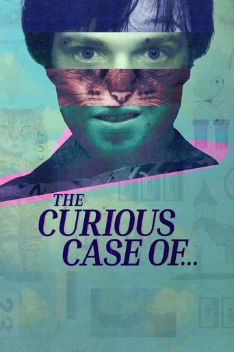 Poster of The Curious Case of...