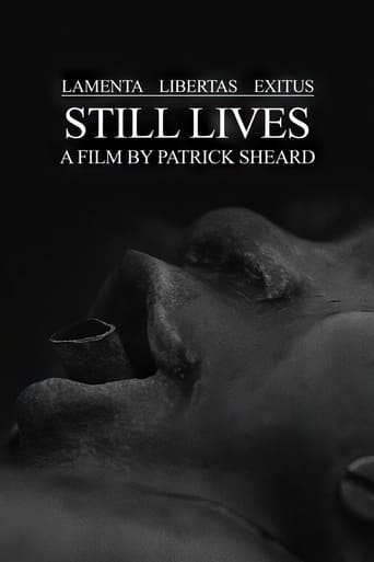 Poster of Still Lives