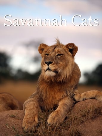 Poster of Savannah Cats