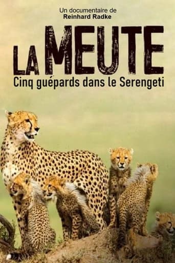 Poster of Die fünf Geparde - Gemeinsam durch die Serengeti