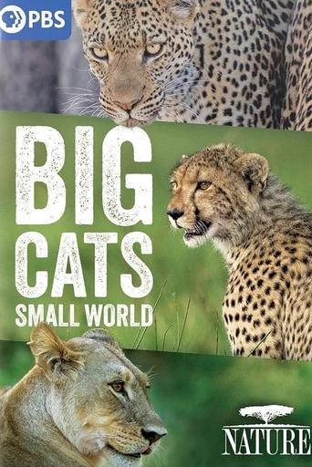 Portrait for Big Cats, Small World - Season 1