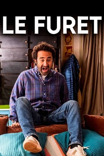 Poster of Le furet