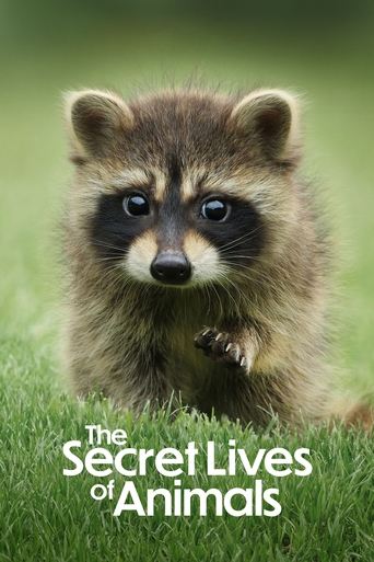 Portrait for The Secret Lives of Animals - Season 1