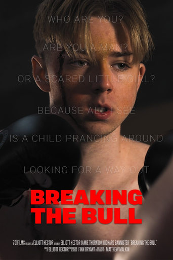 Poster of Breaking the Bull