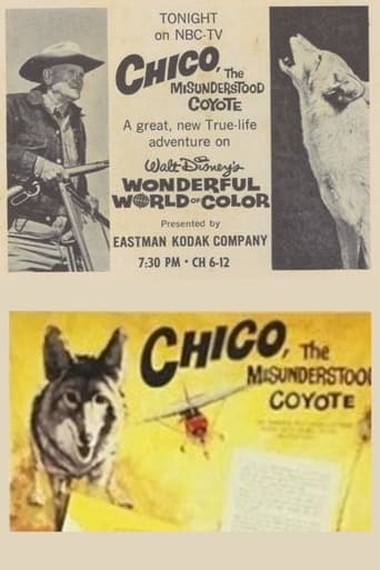 Poster of Chico, the Misunderstood Coyote