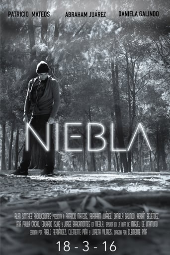 Poster of Niebla