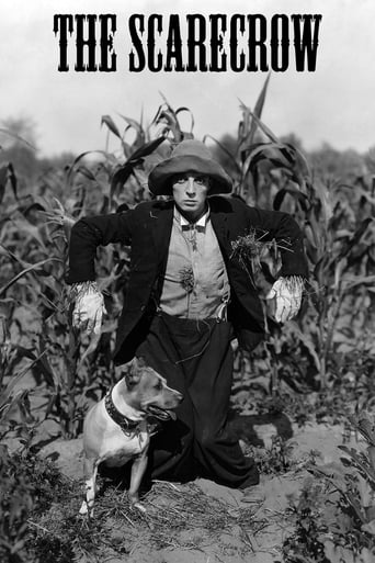 Poster of The Scarecrow