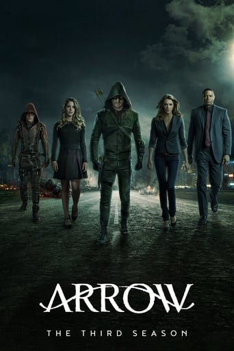 Portrait for Arrow - Season 3