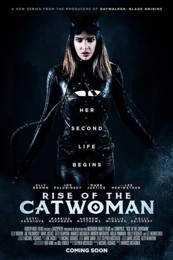 Poster of Rise of the Catwoman