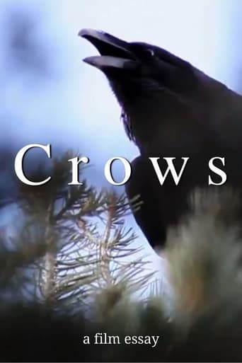 Poster of Crows - A film essay