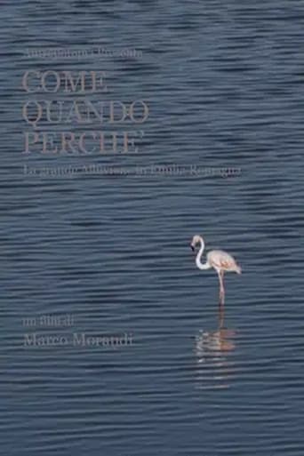 Poster of Come quando perché