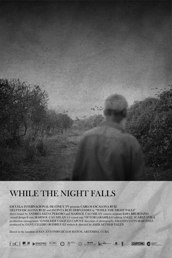 Poster of While The Night Falls