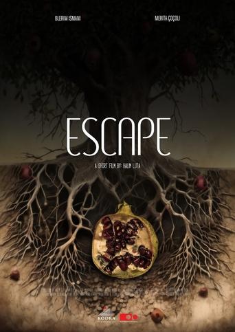 Poster of Escape