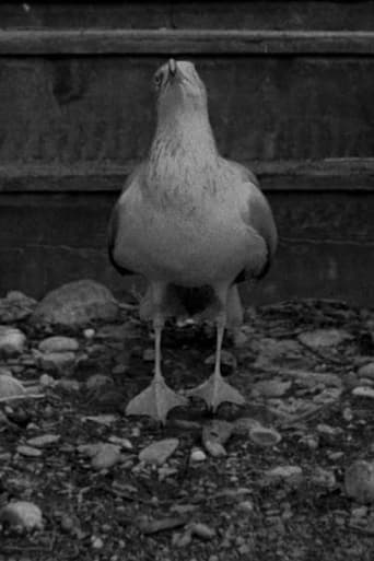 Portrait of Sully Seagull