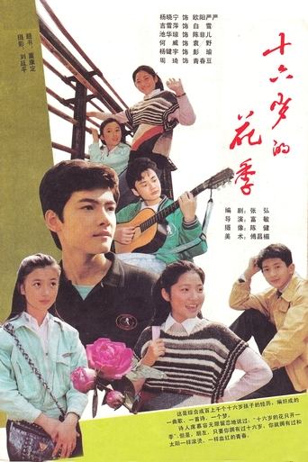 Poster of 十六岁的花季