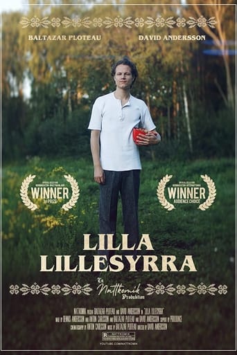 Poster of Lilla Lillesyrra