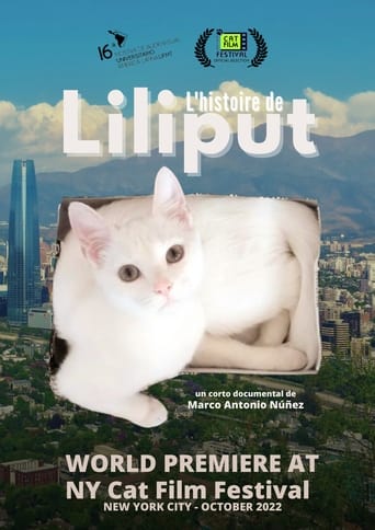 Poster of Liliput's Story