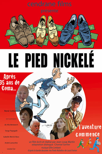 Poster of Le pied nickelé