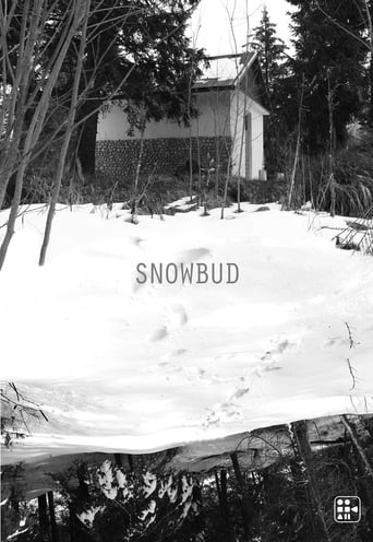 Poster of Snowbud