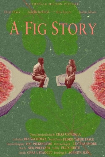 Poster of A Fig Story