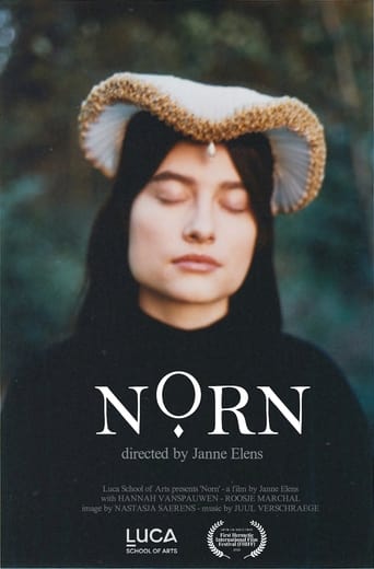 Poster of Norn