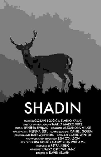 Poster of Shadin