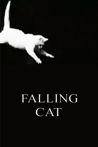 Poster of Falling Cat