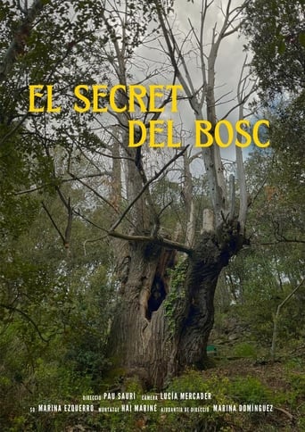 Poster of El Secret del Bosc