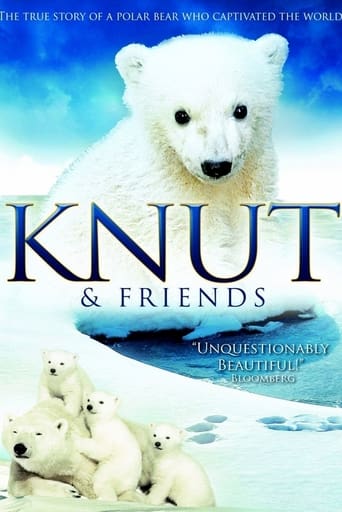 Poster of Knut & Friends